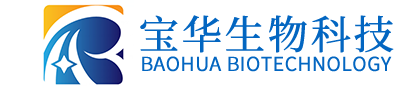 五大联赛电子·（中国）网站
